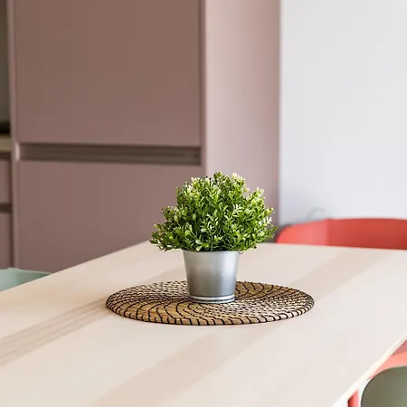 Le Refuge Du Corail T2 Confortable Avec Terrasse 公寓 兰顿